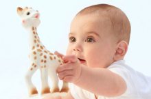 Sophie the Giraffe